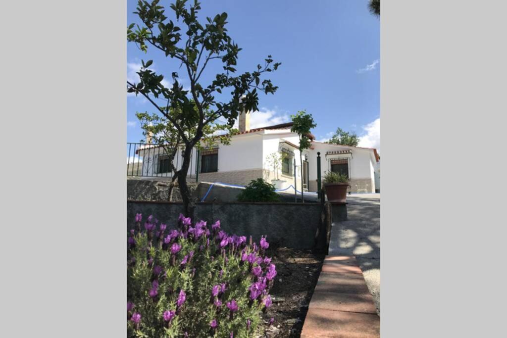 Casa Dimas Villa Competa Exterior photo